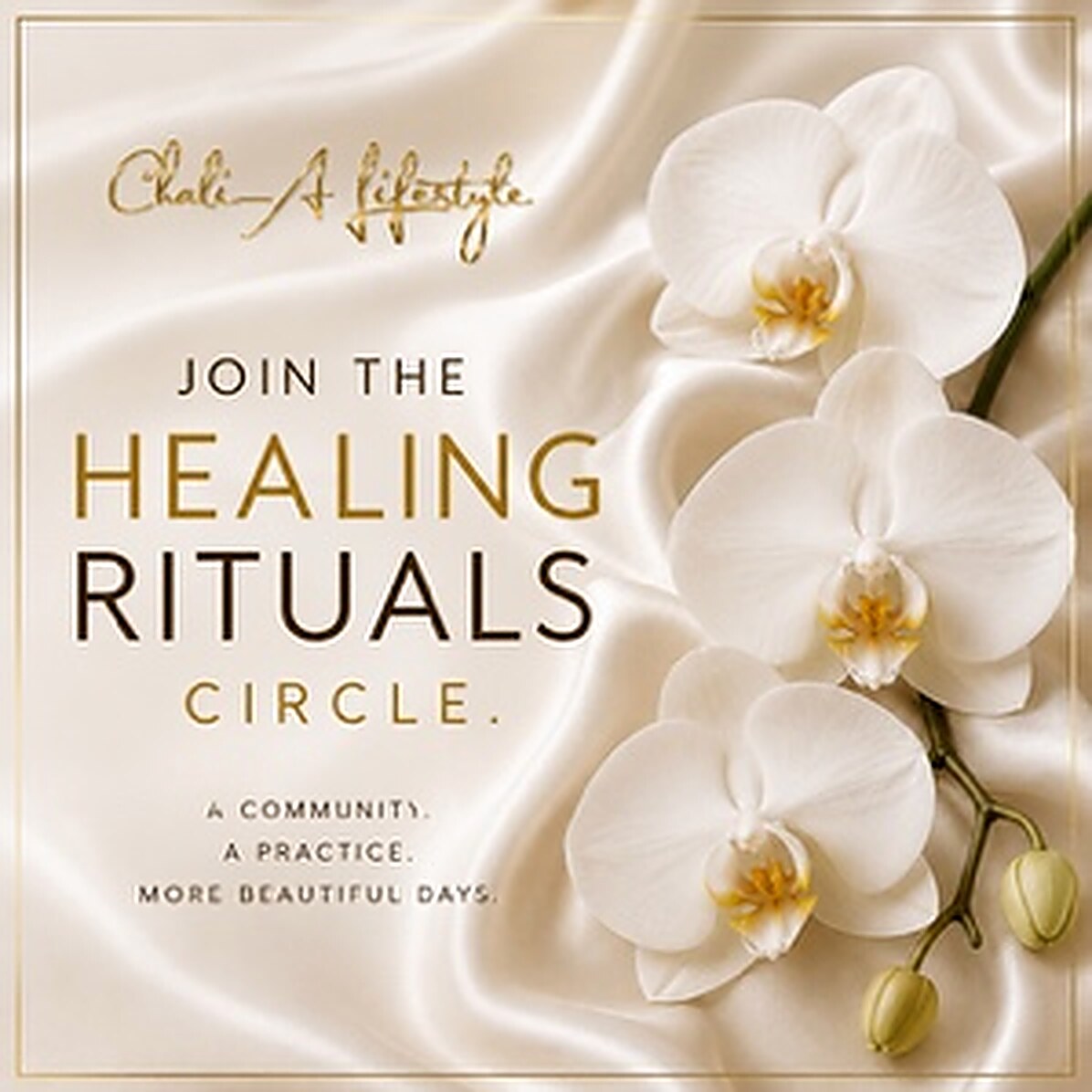 Join the Chali-A Healing Rituals Circle
