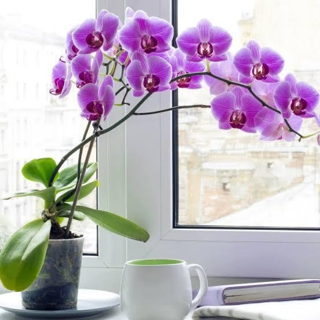 intentional living weekly planning priorities and lifestyle design